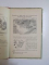 GEOGRAFIA JUDETULUI BRAILA. TEXT ALBUM CU 55 VEDERI SI DESEMNE PENTRU CLASA  A II-A PRIMARA URBANA SI DIVIDIA II (CLASA II SI III) A SCOALELOR RURALE de P.I. CHIRITESCU  1900