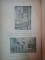 GEOGRAFIA JUDETULUI PRAHOVA PENTRU, DIVIZIA II RURALA, ANUL AL II LEA de ION. I. ONU, G. NICOLAU, C. IONESCU LUNGU, BUC. 1912-1913