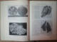 GEOLOGIE PENTRU MUNCITORII DIN INDUSTRIA EXTRACTIVA de FILOMEN SAVIN , IOAN CISMAS , Bucuresti 1964 * PREZINTA HALOURI DE APA