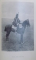 GESCHICHTE DES K.U.K. HUSAREN-REGIMENTS 1742-1905 von FRIEDRICH LEOPOLD, PRINZ VON PRESUSSEN No 2