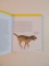 GET FIT WITH YOUR DOG , A COMPANION GUIDE TO HEALTH by KAREN SULLIVAN , 2008