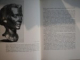 GH. D. ANGHEL text de PETRE COMARNESCU , Bucuresti 1966