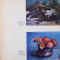 GHEORGHE PETRASCU, TARGOVISTE-CASA-ATELIER, 1972