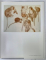 GRAFICA RUSA , SEC. XVIII - INCEPUT DE SEC. XX , TEXT IN LIMBA RUSA , ALBUM , 1989