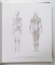 GRAND COURS D 'ANATOMIE ARTISTIQUE , HOMMES , ANIMAUX , ANATOMIE COMPAREE par ANDRAS SZUNYOGHY et  GYORGY FEHER , 1996