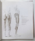 GRAND COURS D 'ANATOMIE ARTISTIQUE , HOMMES , ANIMAUX , ANATOMIE COMPAREE par ANDRAS SZUNYOGHY et  GYORGY FEHER , 1996