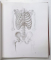 GRAND COURS D 'ANATOMIE ARTISTIQUE , HOMMES , ANIMAUX , ANATOMIE COMPAREE par ANDRAS SZUNYOGHY et  GYORGY FEHER , 1996