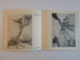 GRAVURA , DESEN , SCULPTURA , TAPISERIE de MARCEL CHIRNOAGA , 1983