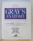 GRAY ' S ANATOMY , THE ANATOMICAL BASIS OF MEDICINE AND SURGERY , THIRTY - EIGHT EDITION , by PETER L. WILLIAMS ,  1995 *COTOR LIPIT CU SCOTCH