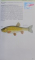 HAMLYN GUIDE TO FRESHWATER FISH OF BRITAIN AND EUROPE by PETER S. MAITLAND & KEITH LINSELL , 2009