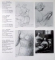 HENRY MOORE  , VOLUME 6 - COMPLETE DRAWINGS 1982 - 1983 by ANN GARROULD , 1994