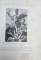 HISTOIRE DES PEINTRES  DE TOUTES LES ECOLES, ECOLE OMBRIENNE ET ROMAINE, ECOLE FLORENTINE par M. CHARLES BLANC, 2 VOL. - PARIS, 1877