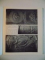 HISTOIRE ILLUSTREE DE L' ARTILLERIE de J. JOBE , H. LACHOUQUE , PH. E. CLEATOR , D. REICHEL