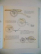 HISTOIRE ILLUSTREE DE L' ARTILLERIE de J. JOBE , H. LACHOUQUE , PH. E. CLEATOR , D. REICHEL