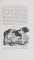 HISTORIE NATURELLE DE L 'HOMME - LES DIFFERENTS RACES HUMAINES par J. C. PRICHARD , TOME PREMIER , CONTINE GRAVURI COLORATE MANUAL , 1845 , LIPSA DOUA FILE LA SFARSITUL CARTII *