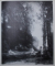 HOMMAGE A  COROT  - PEINTURES ET DESSINS DES COLLECTIONS FRANCAISES , EXPOSITION ORANGERIE DES TUILERIES  6 JUIN  - 29 SEPTEMBRE , 1975
