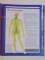 HUMAN BODY - GYANT POSTERS , GUIDE , 2006