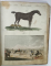 IACOB XAVER SCHMUZER ( 1713 -1775 ), ALBUM CU GRAVURI PE CUPRU, COLORATE MANUAL, SEC. XVIII