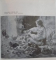 IGNAT BEDNARIK de BEATRICE BEDNARIK , 1987
