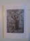 ILUMINISMUL ROZICRUCIAN de FRNCES A. YATES , 1998