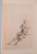 IMPORTANTS LIVRES ANCIENS CARTOGRAPHIE, LIVRES D'ARTISTES ET MANUSCRITS