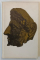 INCEPUTURILE VIETII ROMANE LA GURILE DUNARII , EDITIA A II - A de VASILE PARVAN , 1974