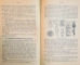 INGRIJIREA POMILOR DUPA PLANTARE de GH. C. NASTASE  1933