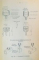 INSTRUCTIUNI PENTRU INSTRUIREA SI LUPTA VANATORILOR DE CARE (PENTRU UZUL TUTUROR ARMELOR)  1943