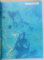 INTERNATIONALER ATLAS by RAND MCNALLY , 1997