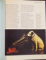INTRODUCING PSYCHOLOGY , THINKING AND KNOWING , EDITED by BRIDGET GILES , 2002