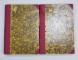 ION de LIVIU REBREANU, Editia I-a, 2 VOL. - BUCURESTI, 1920