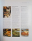 IRISH FOOD & COOKING , TRADITIONAL IRISH CUISINE WITH OVER 150 DELICIOUS STEP BY STEP RECIPES FROM THE EMERLAD ISLE by BIDDY WHITE LENNON & GEORGIANA CAMPBELL , 2008