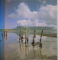 IRLANDE de MAX CAULFIELD, PHOTOGRAPHIES DE JOE CORNISH, 1994