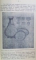 ISTORIA NEAMULUI ROMANESC de STEFAN METES, VOL 1,  1922