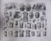 ISTORIA RAZBOIULUI , BILDER ATLAS , LEIPZIG 1856