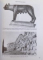 ISTORIA ROMEI PANA LA DOMNIA LUI CONSTANTIN de M.CARY , H.H.SCULLARD , EDTIA  A III A 2008,