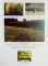 ITINERAIRES D'UNE VIE E.M. CIORAN SUIVI DE LES CONTINENTS DE L'INSOMNIE de GABRIEL LIICEANU , 1995
