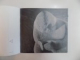 JANA GERTLER . IMAGINI DIN SPATELE FRUNTII de ADRIAN BUGA , 2013