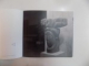 JANA GERTLER . IMAGINI DIN SPATELE FRUNTII de ADRIAN BUGA , 2013