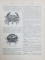 JOSEPH FAVRE, DICTIONNAIRE UNIVERSEL DE CUISINE ENCYCLOPEDIE ILLUSTREE D'HYGIENE ALIMENTAIRE, 4 VOLUME - PARIS 1833