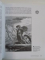 JUDAISM WORLD RELIGIONS by MARTHA A. MORRISON , STEPHEN F. BROWN