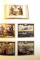 KETTERER KUNST, AUCTIONS EXHIBITIONS , NOVEMBER 2008