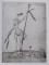 KLEE by SUSANNA PARTSCH , 2011