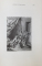 L 'ENFER DE LA BIBLIOTHEQUE NATIONALE , OEUVRES EROTIQUES de MIRABEAU , RESTIF DE LA BRETONNE , ANONYMES , VOLUMELE I - V , 1984 - 1986
