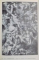 L ' ESPIRIT DES FORMES par ELIE FAURE  , VOL I - II  , 1964