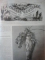 LA CHASSE ILLUSTREE, JOURNAL DES CHASSEURS ET LA VIE A LA CAMPAGNE, NR. 1- 52, 1892