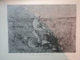 LA FRANCE VUE PAR DES PEINTRES ROUMAINS , ALBUM , MUSEE TOMA STELIAN , Bucuresti 1946
