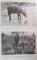 LA VIE DES ANIMAUX SAUVAGES DU CAMEROUN par EMILE GROMIER, PARIS  1937