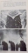 LABIRINTUL UMBRELOR de PETRE RADO , 1975