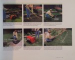 LANDSCAPE PROJECTS , THE FAMILY HANDYMAN , PANNING , PLANTING , AND BUILDING FOR A MORE BEAUTIFUL YARD AND GARDEN , 1998